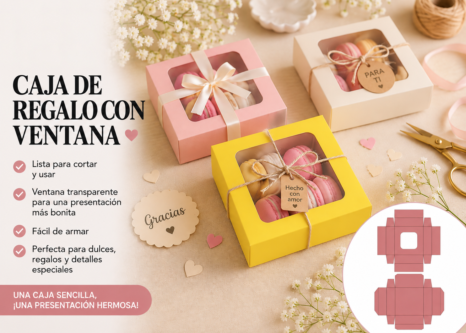 Caja Vitrina Premium para Obsequios